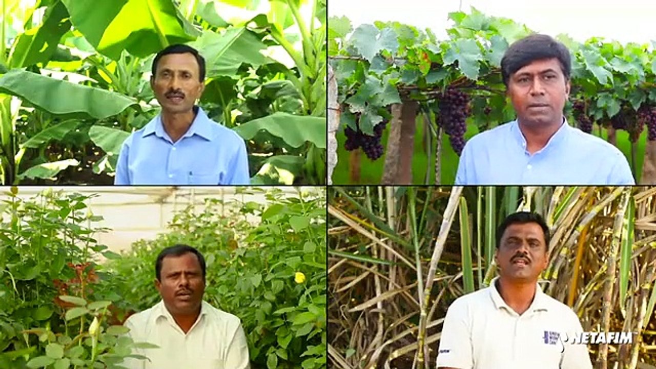 Netafim Portable Drip Kit -The most advanced & affordable drip irrigation solution for small farmers