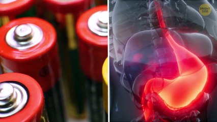 The Pharaohs’ Curse and Other Myths That Might Be True