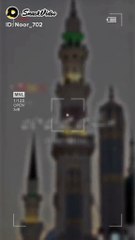 بلکل سچ کہا