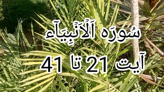 Surat ul anbiya | quran recitation | Tajweed quran | bubak learn quran |