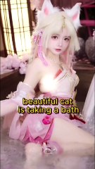 beautiful cat is taking a bath