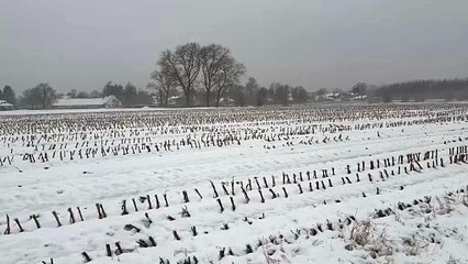 Neige : une nouvelle offensive hivernale a provoqué le chaos au nord du pays