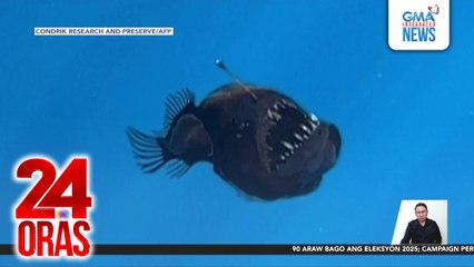 Humpback anglerfish na nakatira sa malalim na bahagi ng karagatan, namataan ng mga researcher sa mababaw na parte ng Tenerife Sea, Spain | 24 Oras