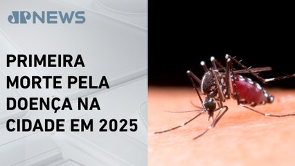 Menina de 11 anos morre por dengue em São Paulo