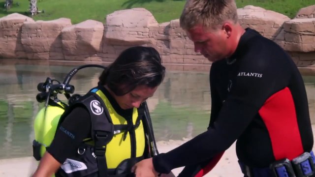 Diving with dolphins at Atlantis in Dubai