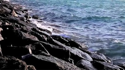 Kitesurfing in United Arab Emirates