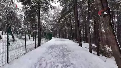 Şamlar Tabiat Parkı’nda kartpostallık görüntü