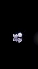 WinstonMall Fine Jewellery Wedding Engagement Luxury Ring