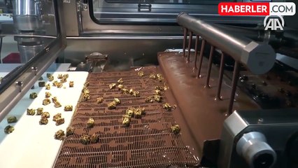 Bir firmanın, ürettiği çikolataya ilaç etken maddesi kattığı ortaya çıktı