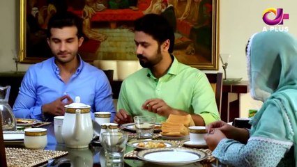 Shikwa Nahin Kissi Se - EP 1 Aplus Entertainment