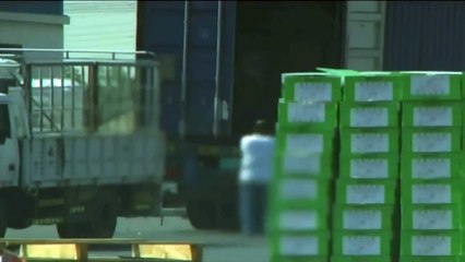 UAE police seize millions of illegal pills and arrest four Arab nationals