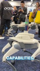 Adiós a la maniobra mas peligrosa de los bomberos: el perro robot logra pasar la prueba a altas temperaturas en incendios de quinta generación