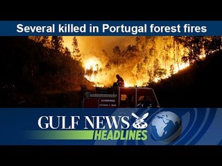 Several killed in Portugal forest fires - GN Headlines