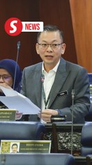 Malaysia eyes Japan for biomass in renewable energy, says deputy minister