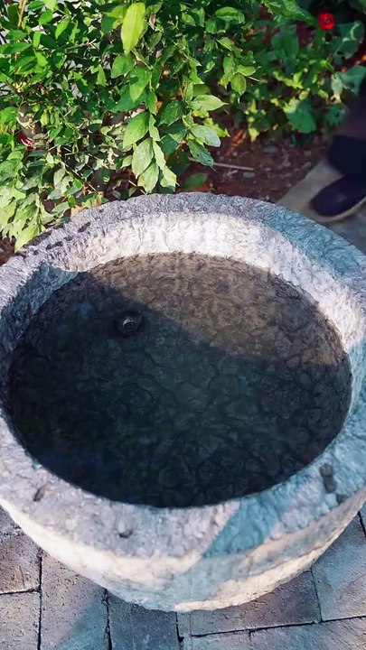 Producing beautiful handicrafts using natural methods with @cnshanbai  123.1 ألف  #fyp  #foryou  #art #craft