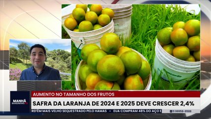 Safra da laranja de 2024/25 deve crescer 2,4%