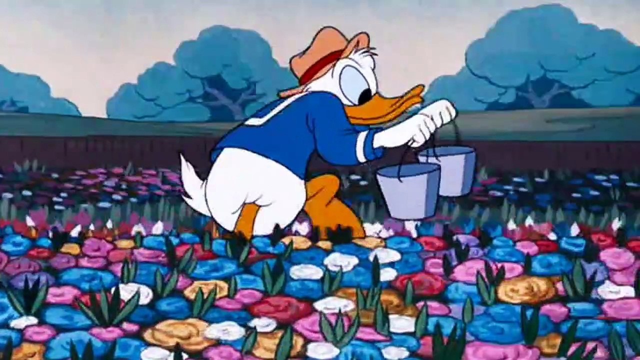 Can a Bee guard honey from Donald Duck? Donald Duck Cartoons 94 - Bee On Guard 1951