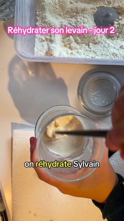 Je pense que SyLevain sera prêt à faire du pain demain soir ! #levain #sourdough