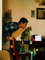 1000384136🤣🤣🤣funy