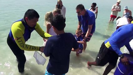 1500 Native fish released on World Oceans Day