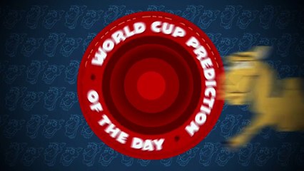 Spain vs Netherlands: Shaheen the camel's World Cup prediction of the day
