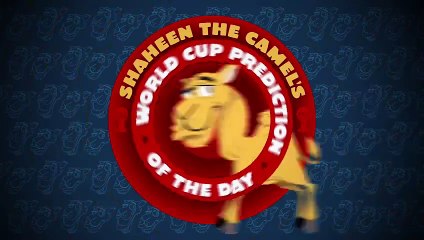 Germany vs Portugal: Shaheen the camel's World Cup prediction of the day