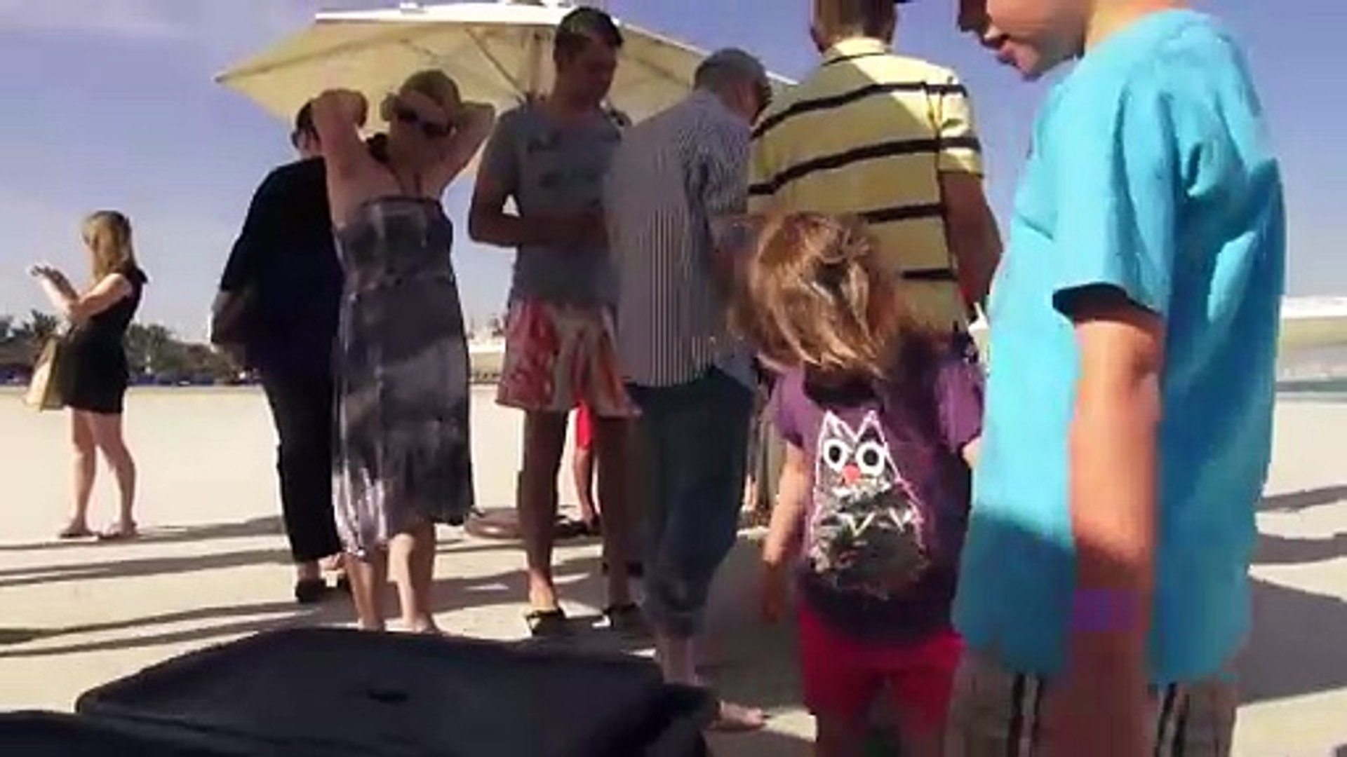 ⁣Endangered turtles released in Dubai after being rehabilitated.