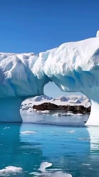 LES PLUS BEAUX icebergs de l’Antarctique