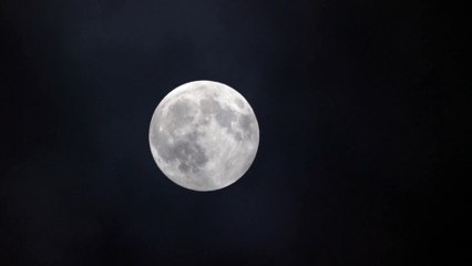 (Joycourses.com)(Cheap) Lara Acosta – Literally Academy