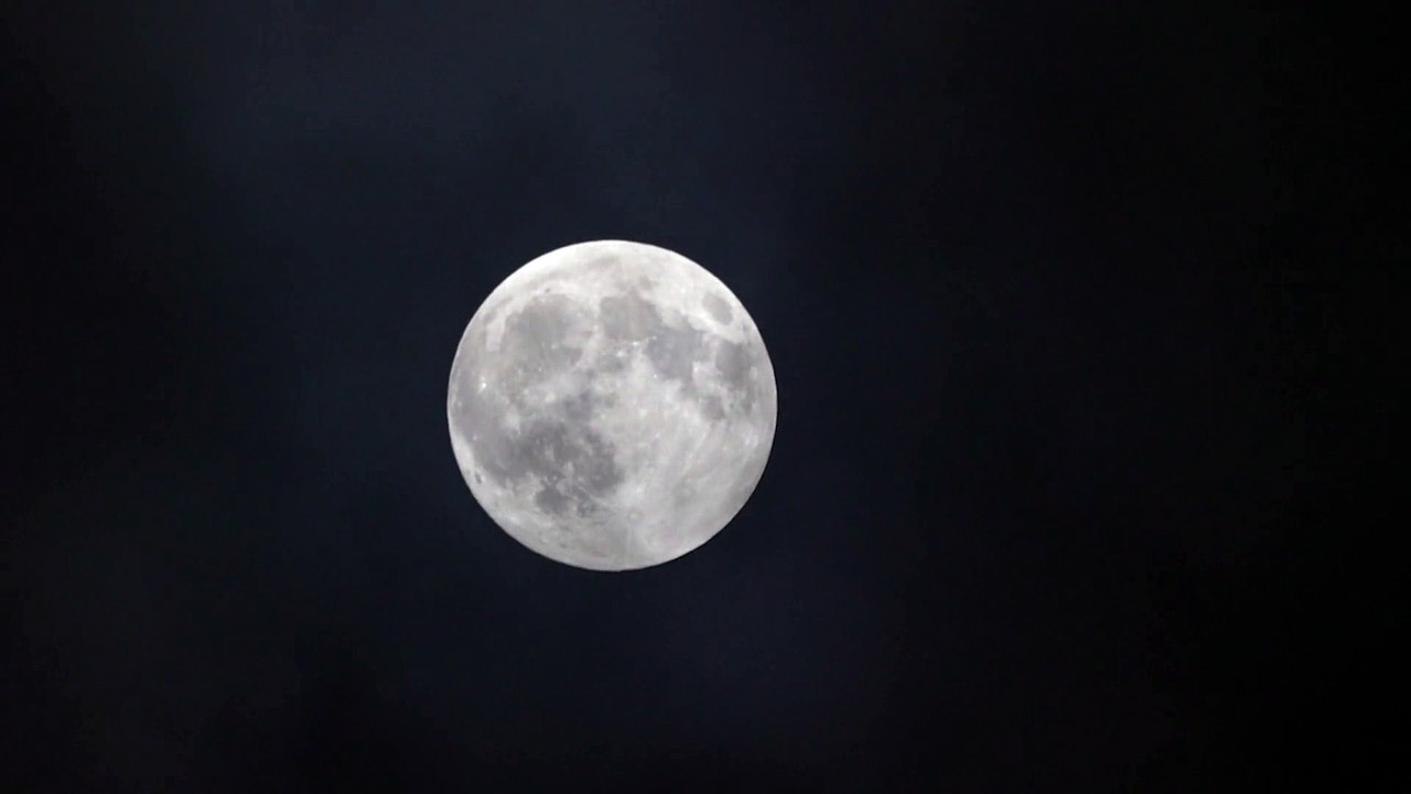 (Joycourses.com)(Cheap) Lara Acosta – Literally Academy