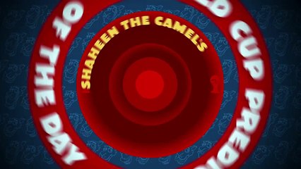 Switzerland vs France: Shaheen the camel's World Cup prediction of the day