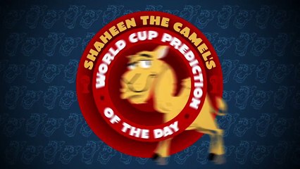 Argentina vs Iran: Shaheen the camel's World Cup prediction of the day