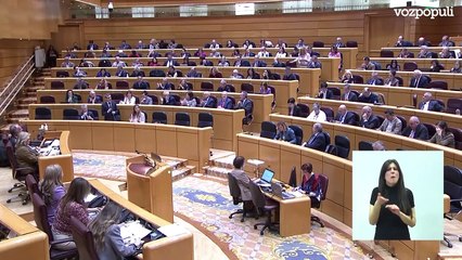 El PP acusa al Gobierno en el Senado de encubrir delitos