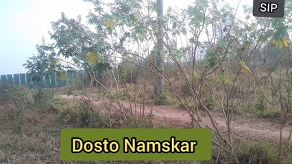 subha subha Yerendi ke kheti