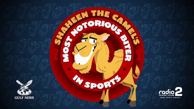 Luis Suarez vs Mike Tyson: Shaheen the camel's most notorious biter in sports