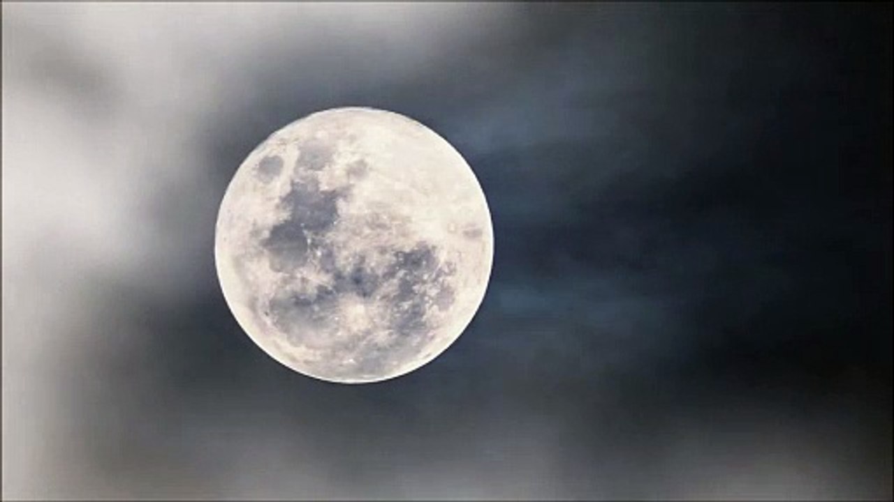 (Joycourses.com)(Cheap) Jordan Richardson – AI ChatBot Pro