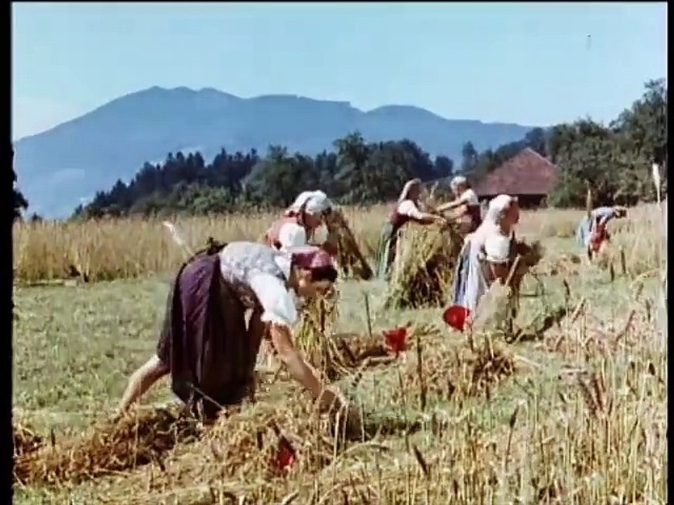 Wo die Lerche singt (1956)