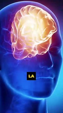 🤯 Barrer des tâches terminées dans ta to-do list va améliorer ta productivité et diminuer ton stress (neuroscience et biais cognitif) 🧠💥🚀 #productivité #developpementpersonnel