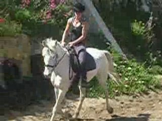 Concours reprise dressage Aude et boudin