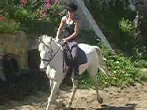 Concours reprise dressage Aude et boudin