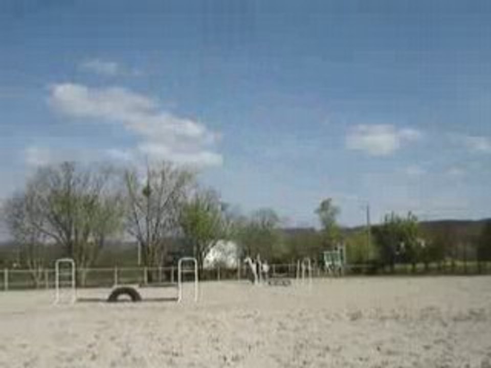 MOV01025