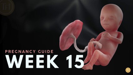 What to Expect at Week 15 | Week by Week Pregnancy Guide
