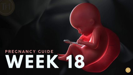What to Expect at Week 18 | Week by Week Pregnancy Guide