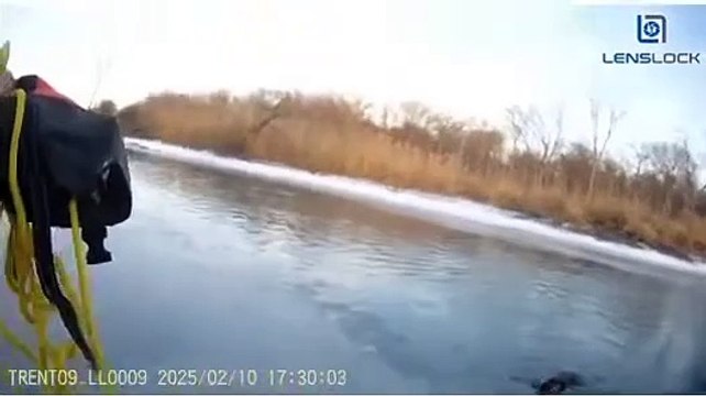 Trenton police officers rescue dog stuck in icy water