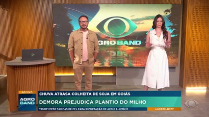 Chuva atrasa colheita da soja em Goiás
