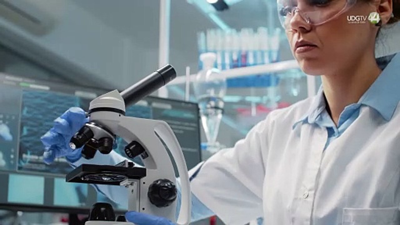 Visibilizar a las mujeres científicas, Día Internacional de las Mujeres y las Niñas en la Ciencia