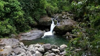 tn7-extraños-en-su-propia-tierra-110225