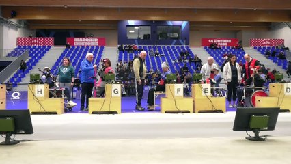 Championnat de France - Carabine 10m R1/R2 Para-tir