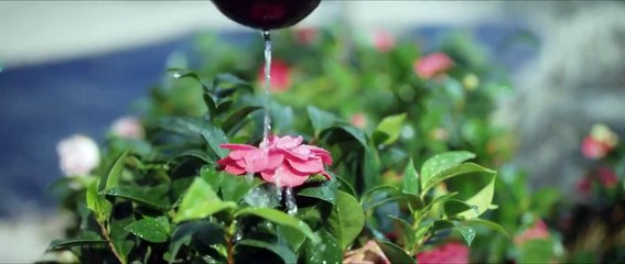 Tـiـgـeـr aـnـd Cـrـaـnـe Ep 12 eng sub