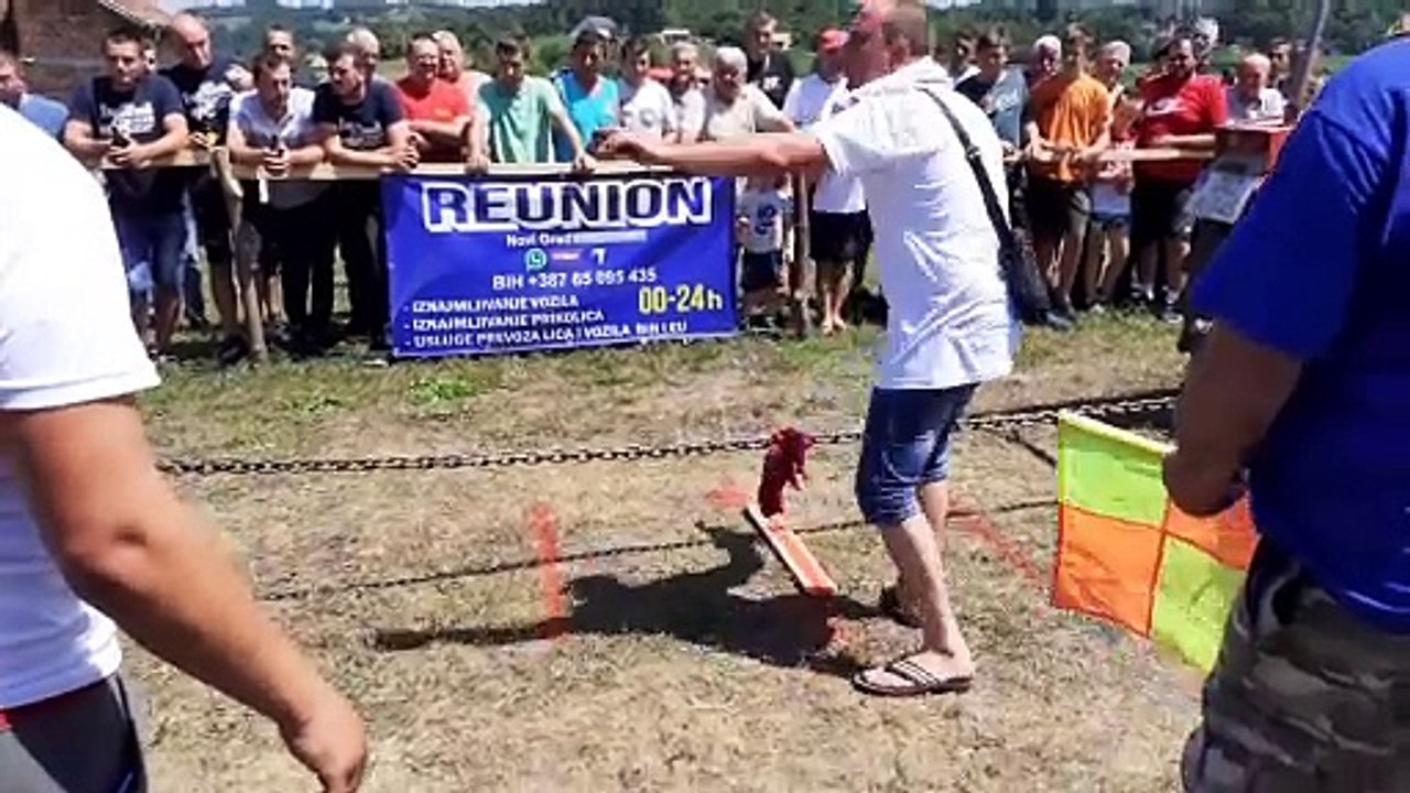 Imt 539 vs Zetor 3511